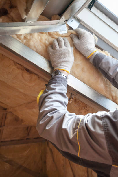 Best Insulation Contractors for Homes  in Gulf Shores, AL