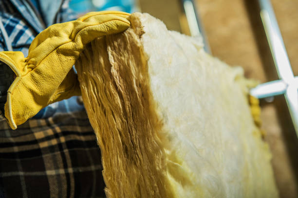 Best Professional Insulation Contractor  in Gulf Shores, AL